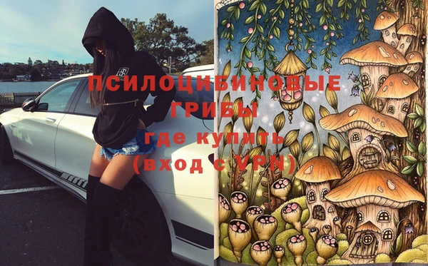 a pvp Заводоуковск