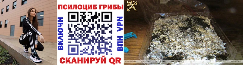 Галлюциногенные грибы Psilocybe Коммунар